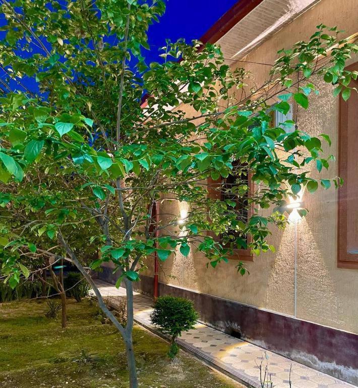 Hotel Amor Fati Taškent Exteriér fotografie